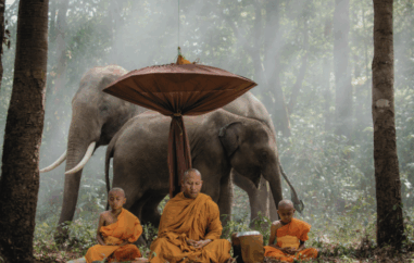Luxury travel, designed with intention. (1)